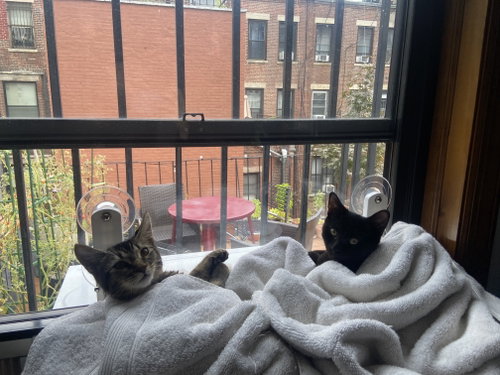 Photo 4 of Gladys and Mellie