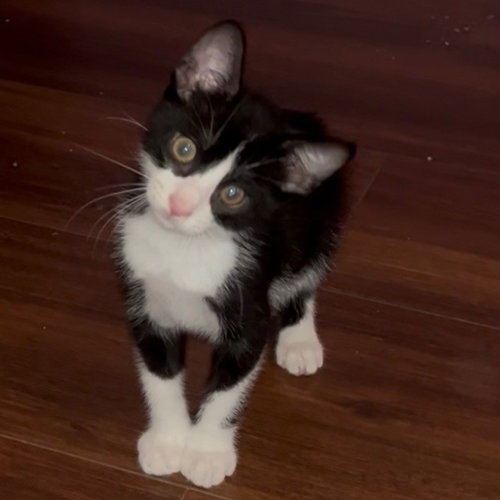 Photo 4 of Lucky