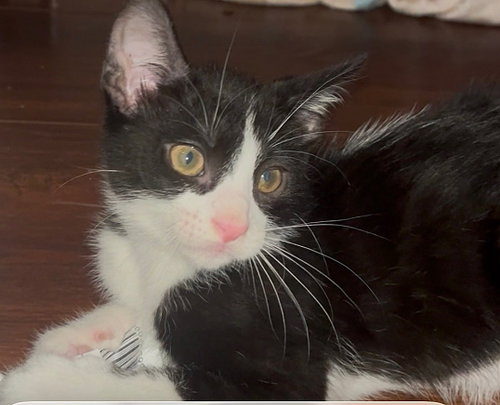 Photo 5 of Lucky