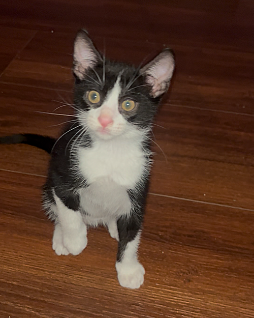 Photo 6 of Lucky