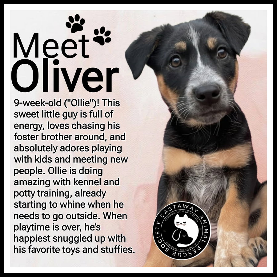 Oliver
