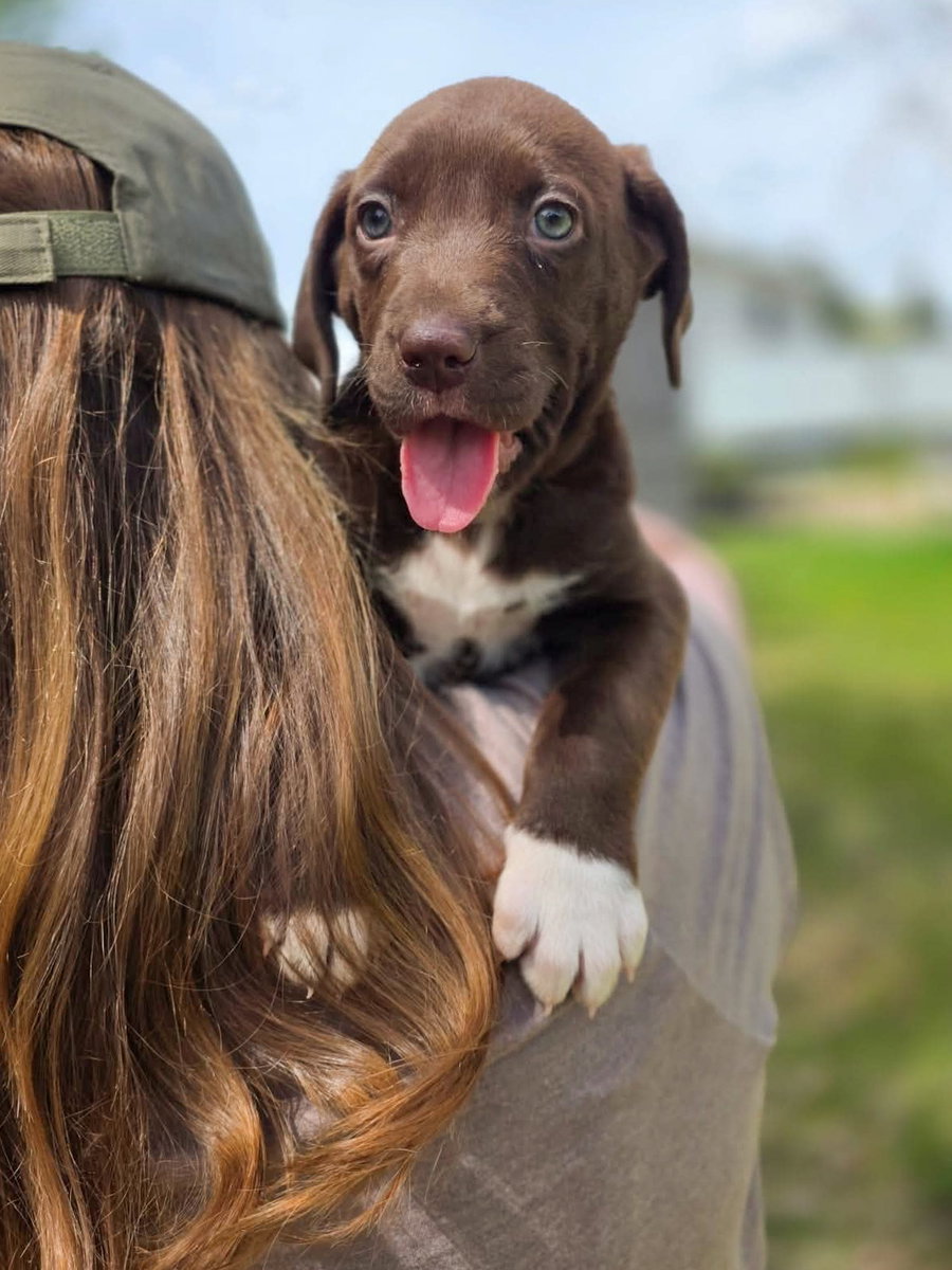 Penny