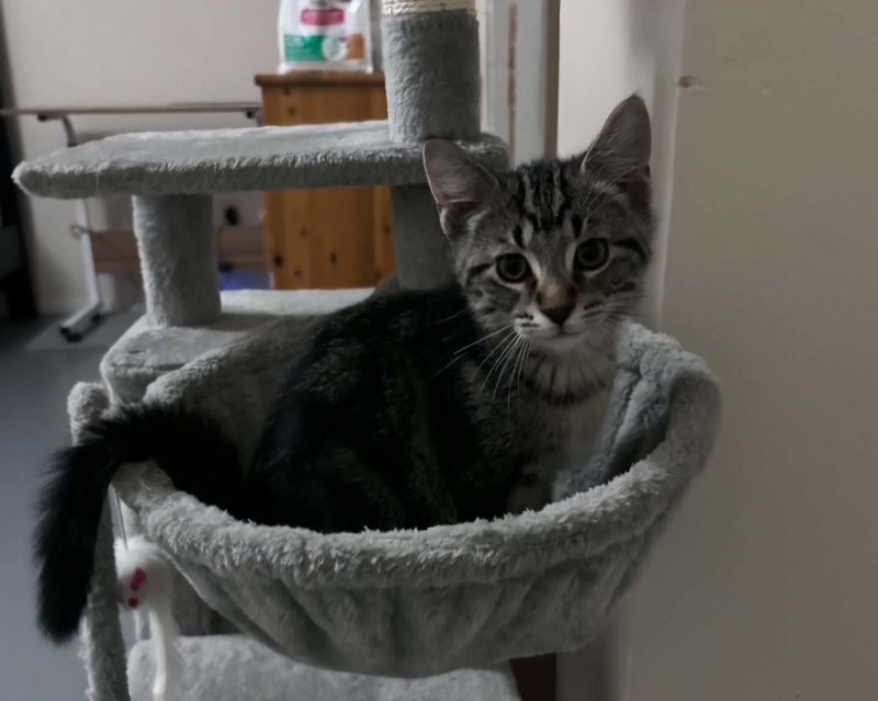 Maxwell, photo 3