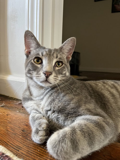 Max