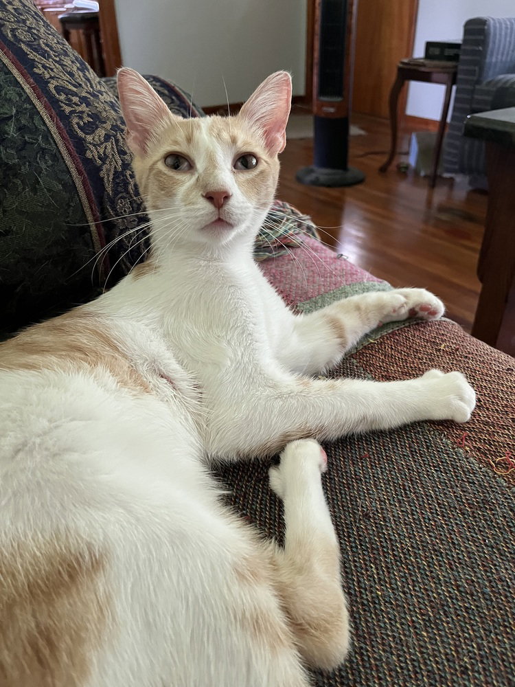 Loki, photo 2