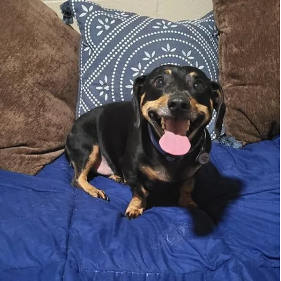 Sammy