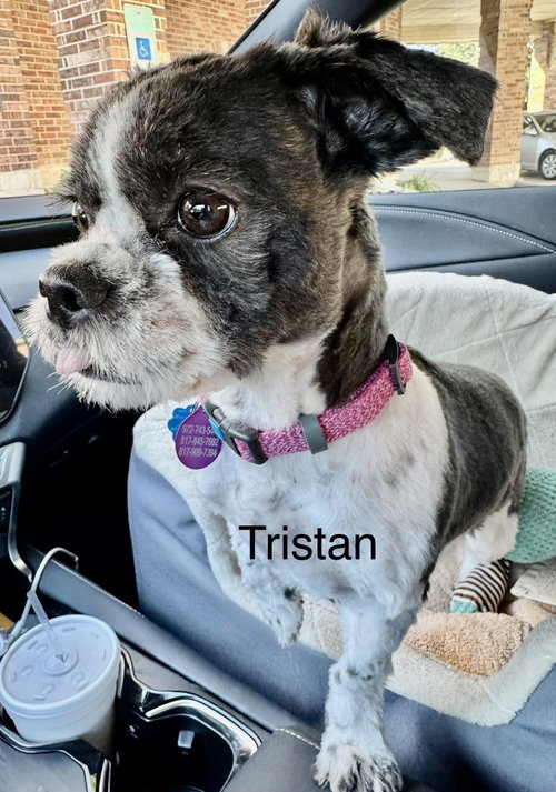 Photo of Tristan Trooper