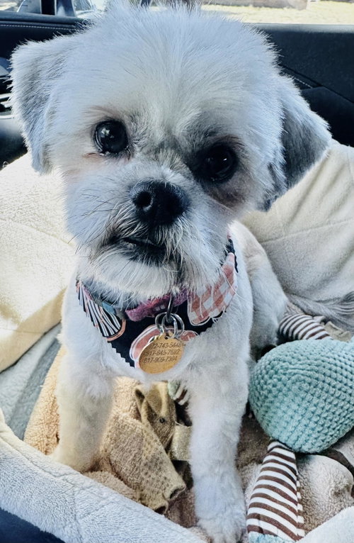 Photo of Mavis