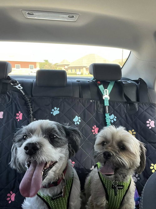 Photo of Appa and Toph
