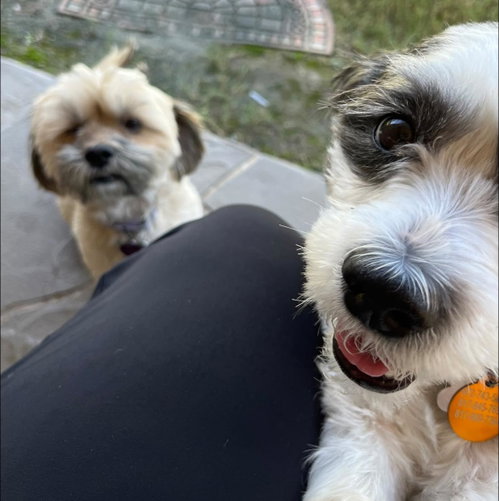 Photo of Appa and Toph