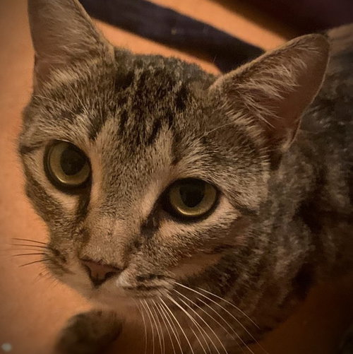 Photo 5 of Motley