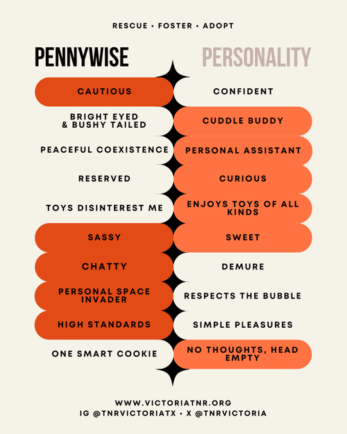 Photo 4 of Pennywise