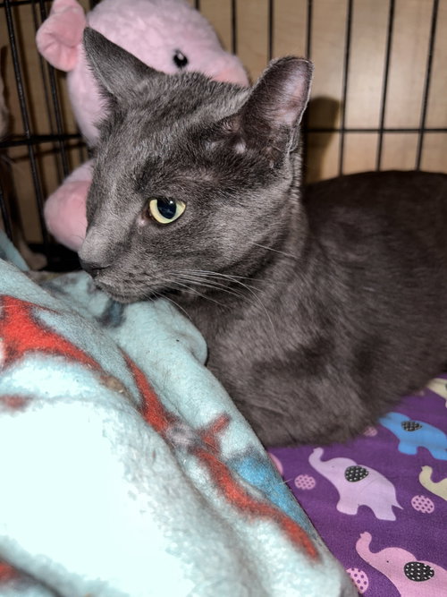 Titus photo 2