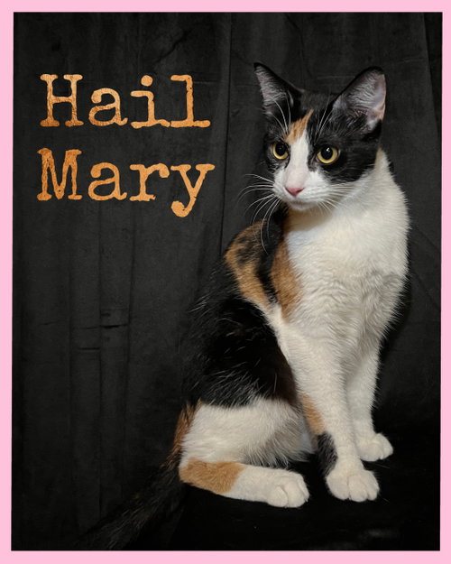Hail Mary