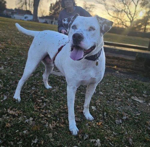 Photo of Frankie