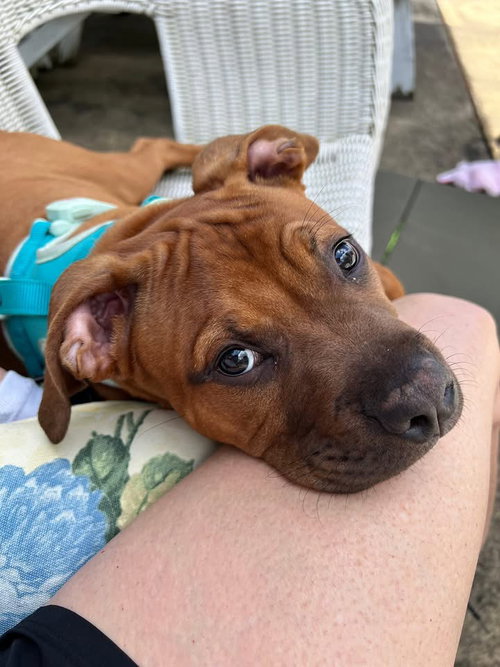 Copper