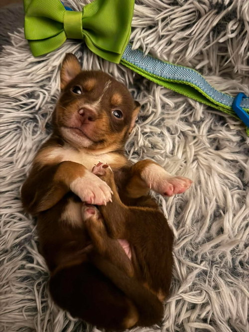 Ted photo 2
