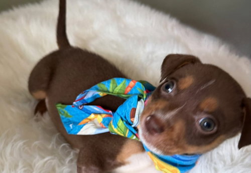 Ted photo 3