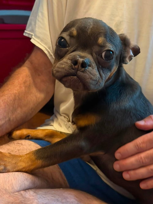 Butch