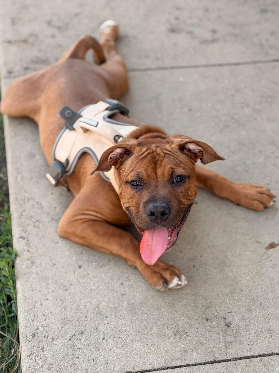 Copper