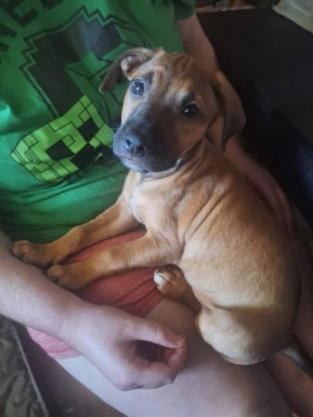 Photo 2 of Chloe