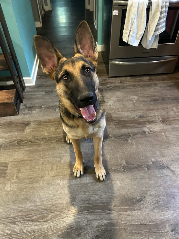 Maximus