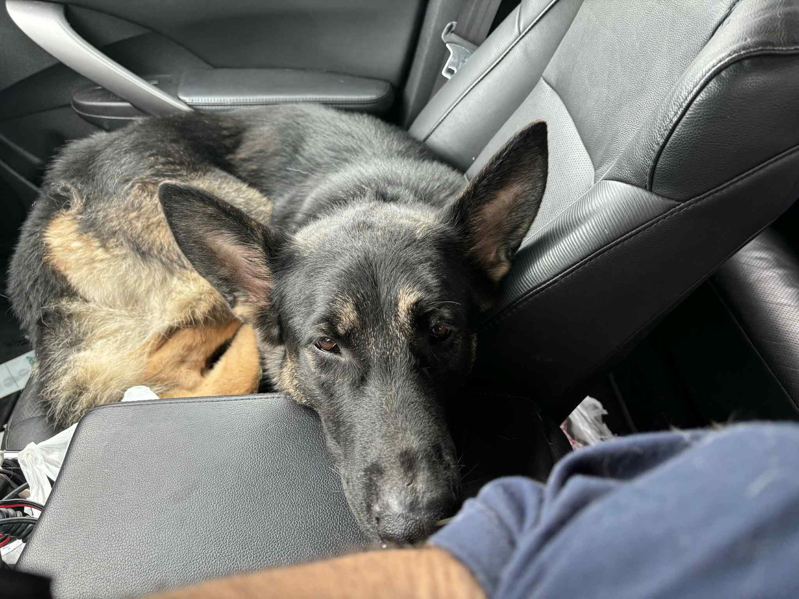 Hondo, photo 2