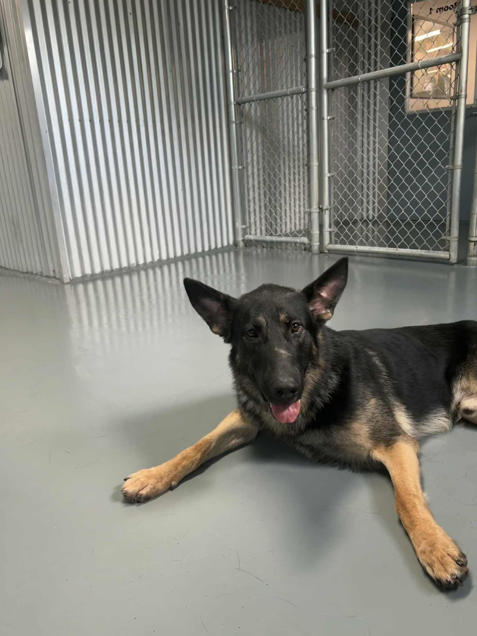 Hondo, photo 4