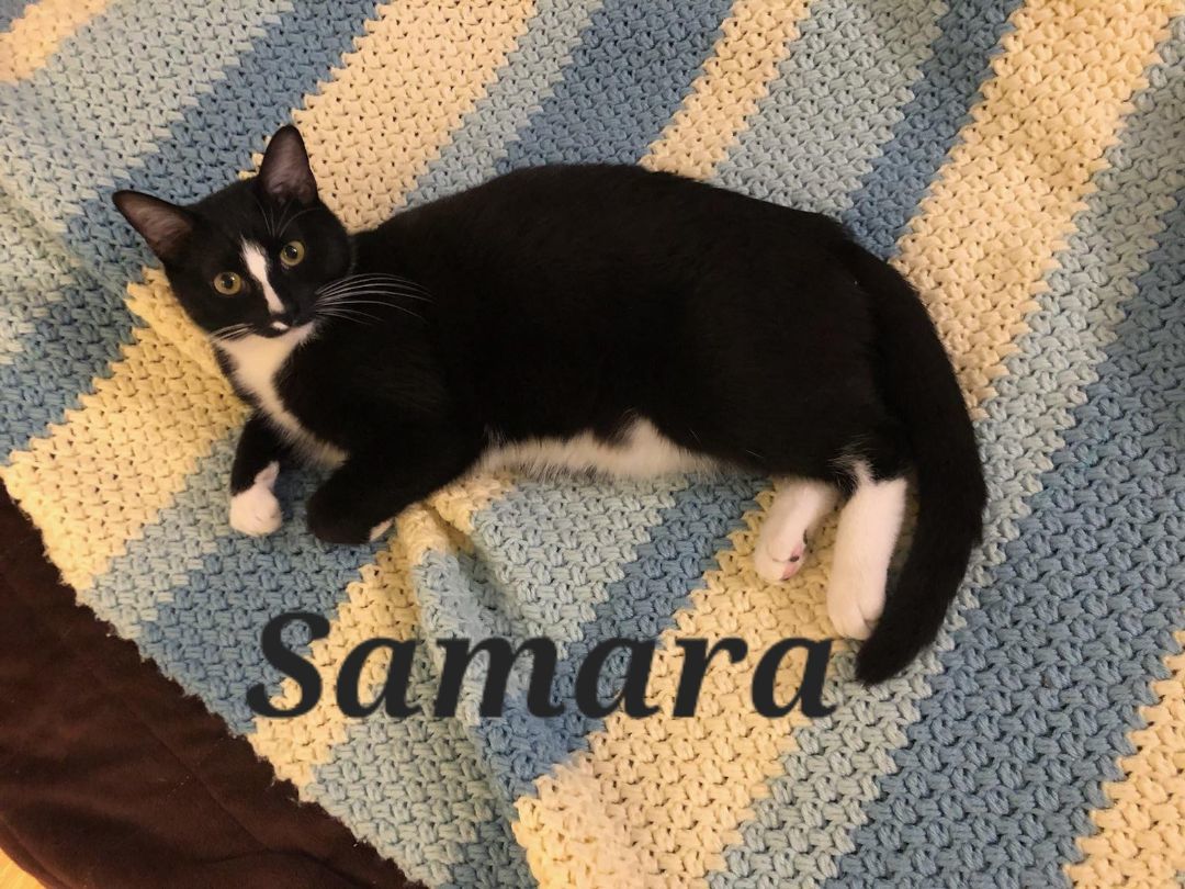 Samara, photo 7