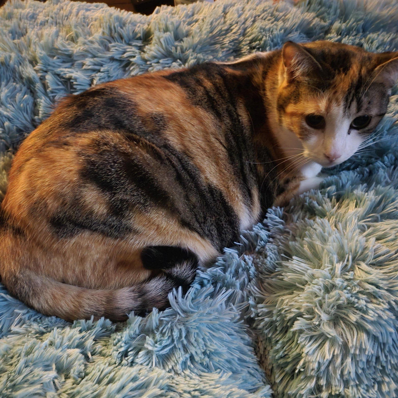LaLa, photo 5