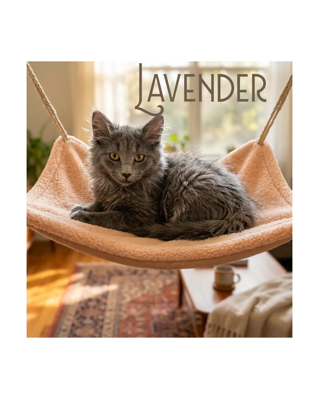 Lavender
