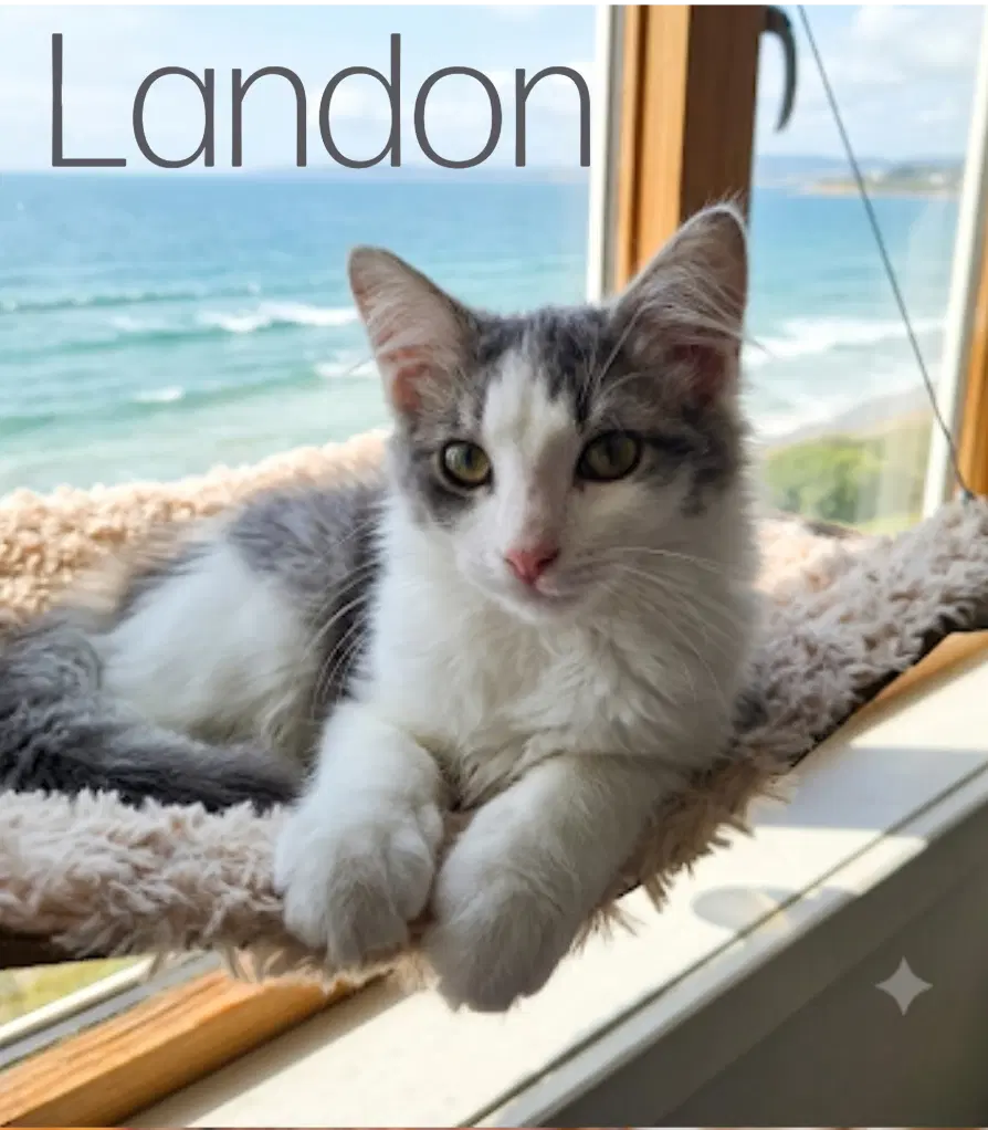 Landon