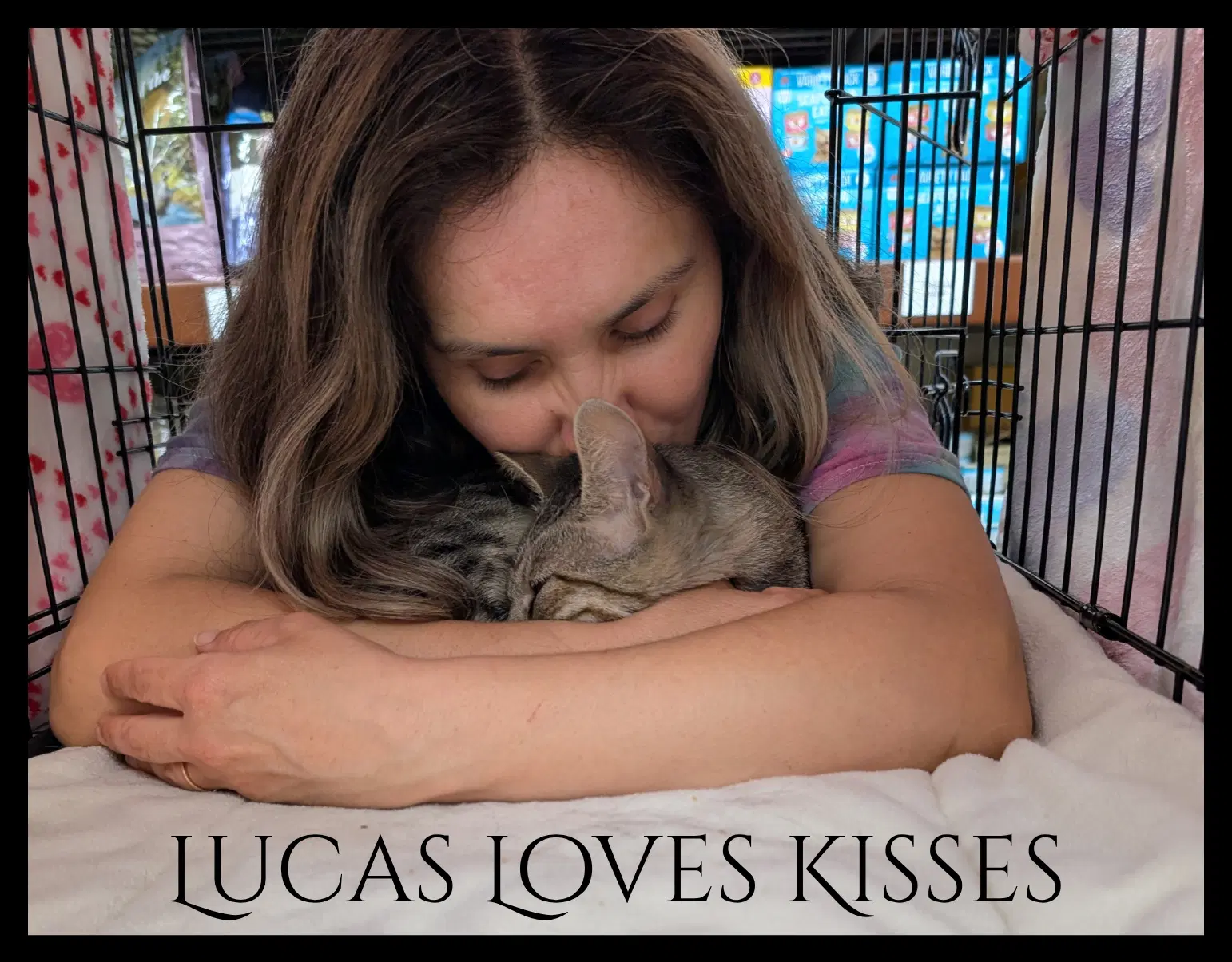Lucas image 3