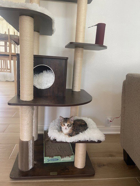 Photo 3 of Baby Girl
