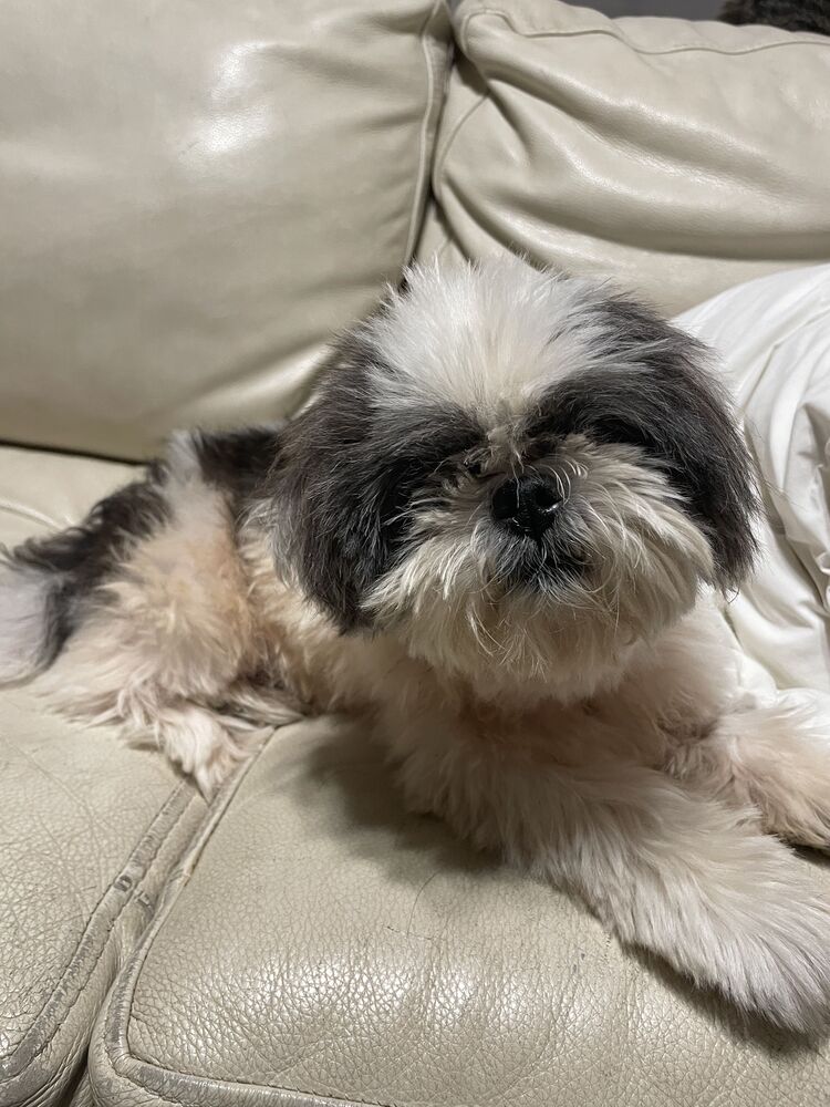 Buffy