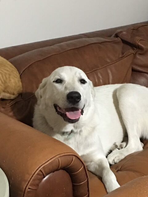 Bailey