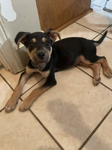 Ottis photo 2
