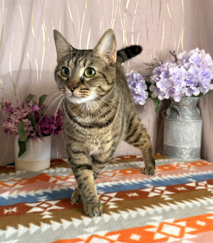 Meeka, photo 3