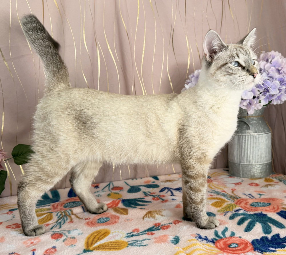 Betty Rose, photo 2