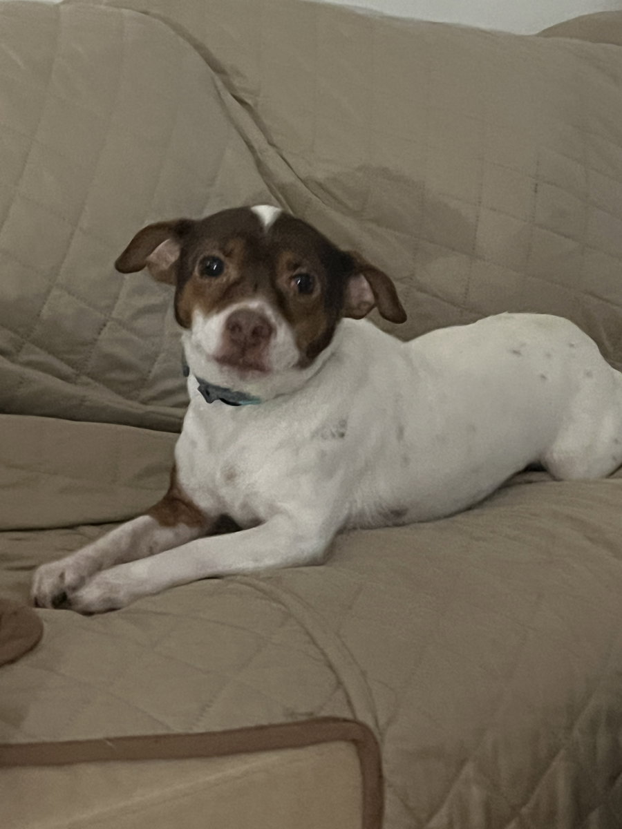 Rosie