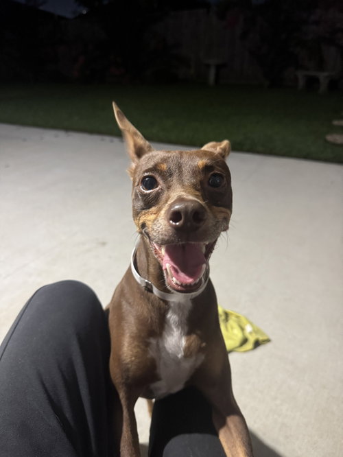 Sinatra photo 2