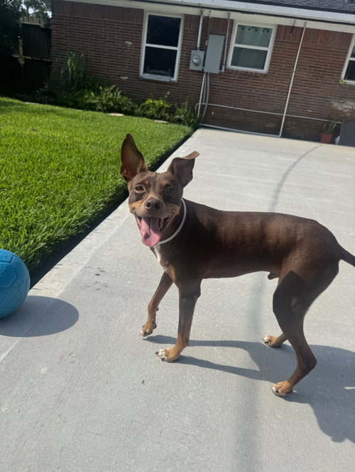 Sinatra photo 3