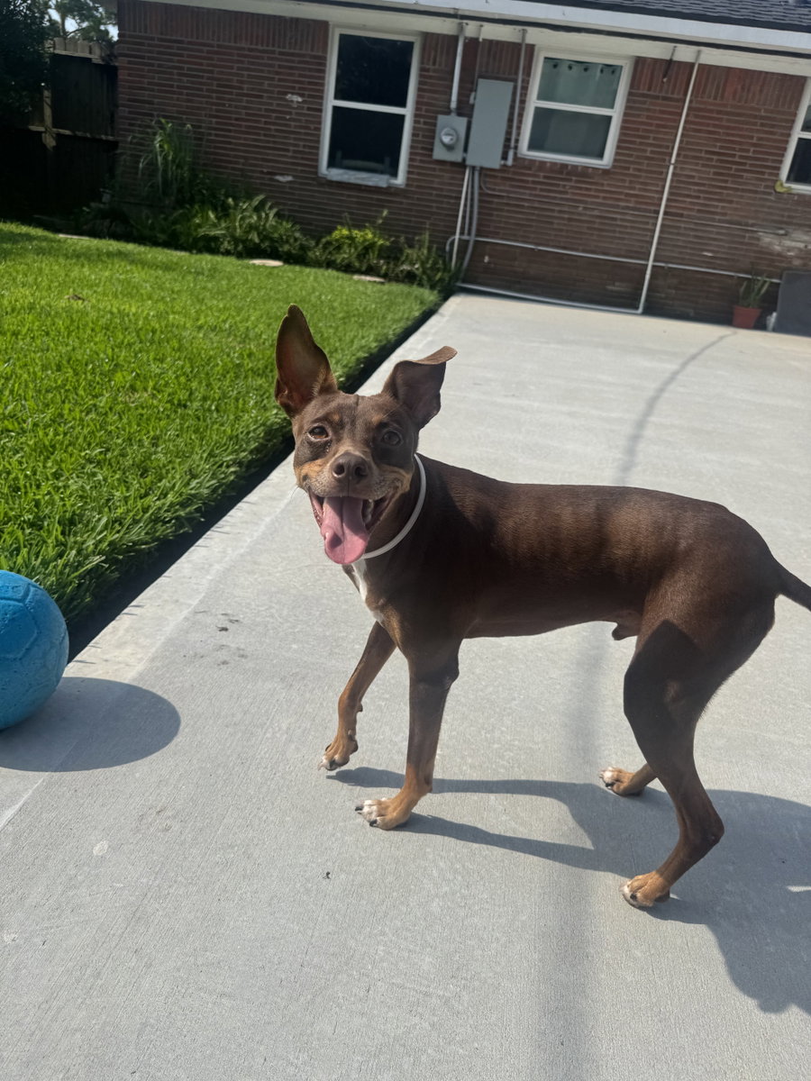 Sinatra