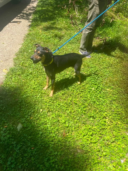 Nala photo 2