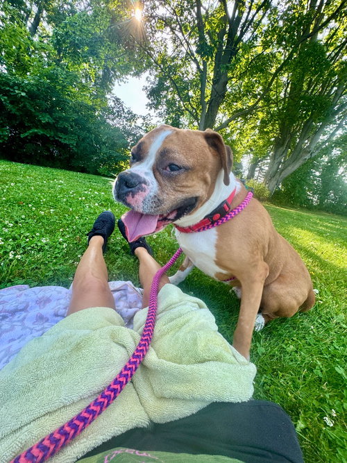 Otis photo 2