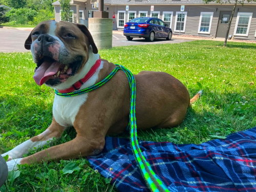 Otis photo 3