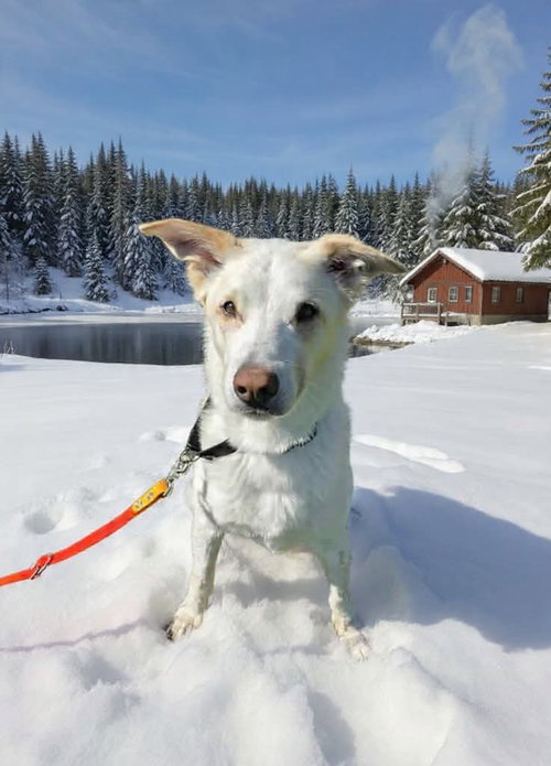 Jasper photo 2