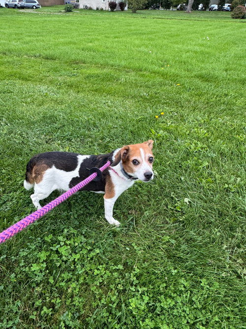 Photo 2 of Mason