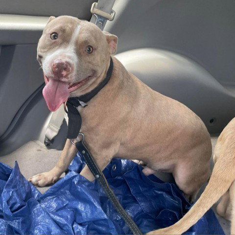 Odin Jc