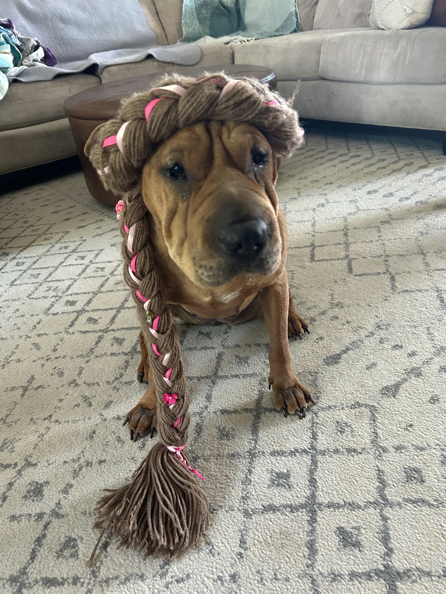 Piper, photo 6